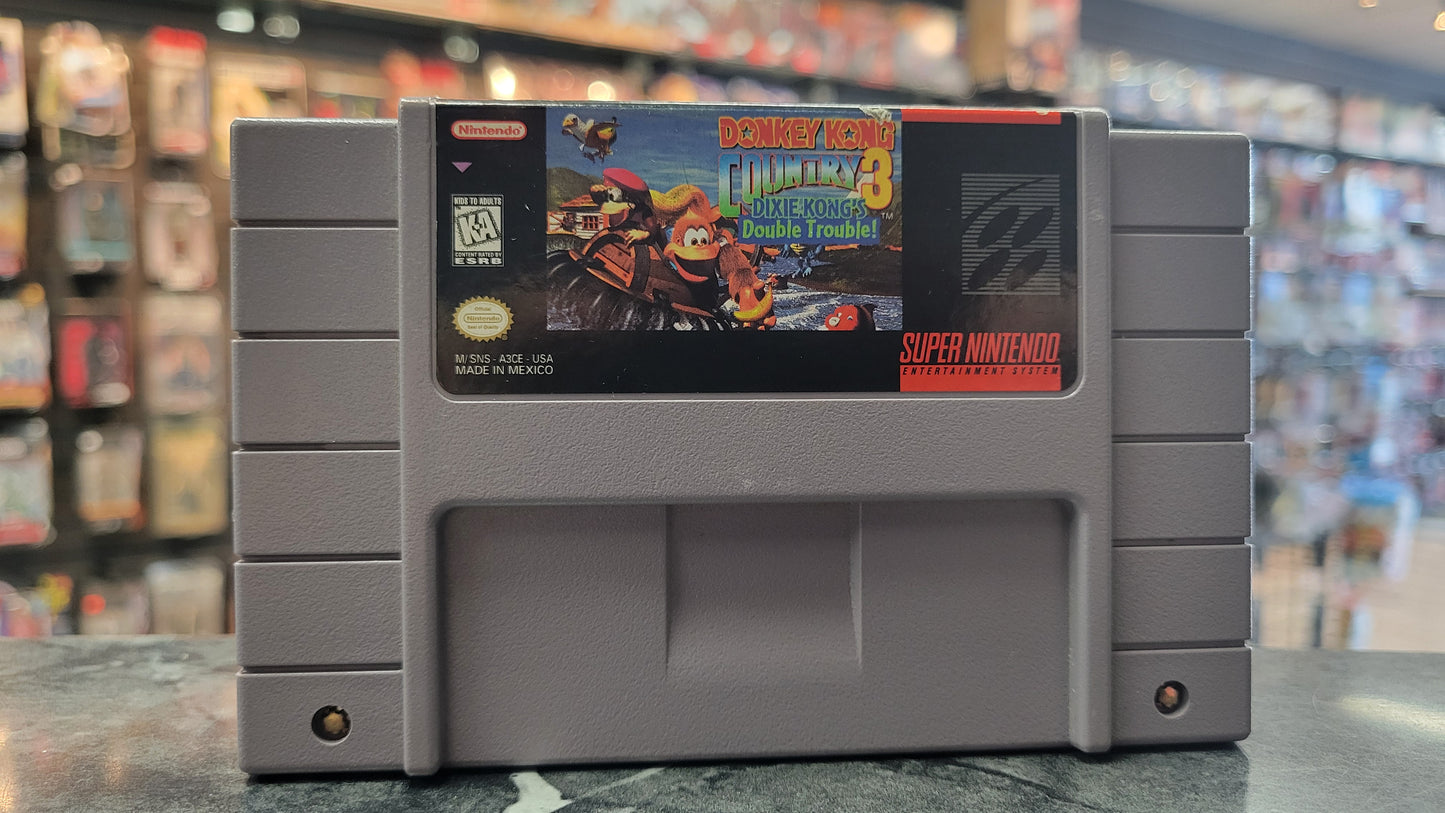 Donkey Kong Country 3 (Super Nintendo SNES, 1996)